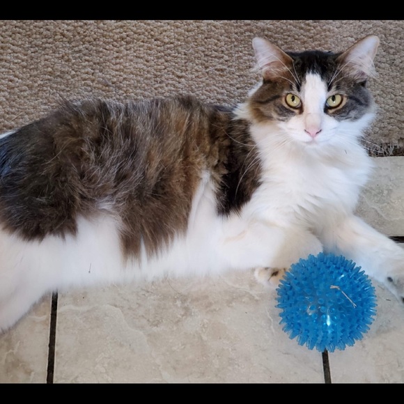 Meet your Posher, Vicki - Picture 12 of 12